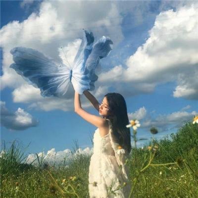 新包青天之蝶杀